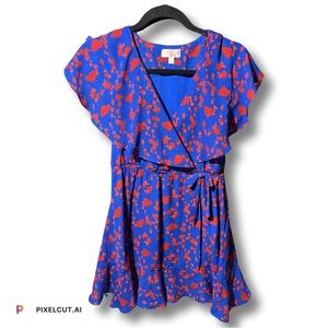 Size large blue/red floral print dress. Fits more like a medium